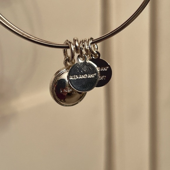 Alex & Ani Bangle Bar Pink Tourmaline October Birthstone Bangle Bracelet - Picture 8 of 14